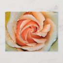Recherche de uniques cartes postales Nature