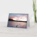 Zoek naar reigers kaarten Water