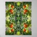 Zoek naar tomaten posters Groente