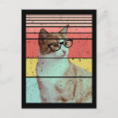 Recherche de funny cat cartes postales Animal