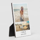 Recherche de animaux portraits Minimaliste