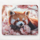 Recherche de panda rouge tapis souris Nature