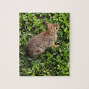 Recherche de trèfle puzzles Herbe