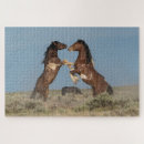 Recherche de chevaux puzzles Délimiteur danita