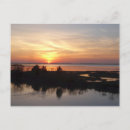 Recherche de baie chesapeake cartes postales Nature