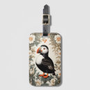 Recherche de macareux Oiseau