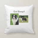 Recherche de border collie coussins Colley