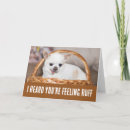Zoek naar gevoelig kaarten Hond