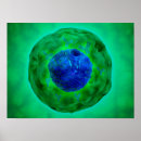 Recherche de membrane posters Image générée