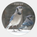 Recherche de manquer autocollants Tu me manque