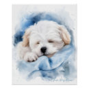Recherche de chiens mignons posters Dogs