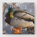 Zoek naar watervogels kunst Fotografie