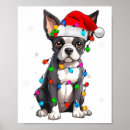 Recherche de terrier de boston posters Chapeau de père noël