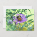 Recherche de bourdons cartes postales Pour elle