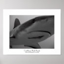 Recherche de plongée sous marine art Plongée avec tuba