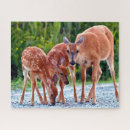 Recherche de animal bébé puzzles Animaux dans la nature