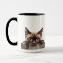 Recherche de chat birman tasses Animal