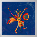 Recherche de astrophysique posters Céleste