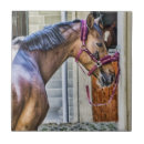 Zoek naar paarden tegels Bruin