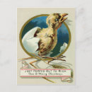 Recherche de poussin cartes postales Vintage