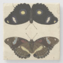 Recherche de insecte dessous de verres Papillons