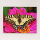 Recherche de papillon à queue jaune Coloré