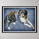 Zoek naar labradoodle meer kunst Schattig