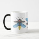 Recherche de lucioles tasses Insecte