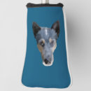 Recherche de blue heeler Animal de compagnie