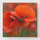 Recherche de coquelicots horloges Rouge