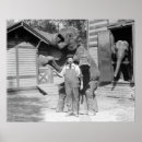 Recherche de cirque rétro posters Éléphant