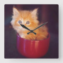 Recherche de tasse horloges Animal