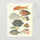 Recherche de poisson de mer cartes postales Dessin