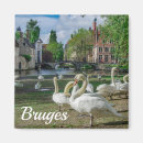 Zoek naar witte vogel magneten Dier