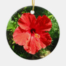 Recherche de hibiscus ornements Hawaii