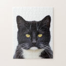 Recherche de chat smoking puzzles Pour tous
