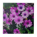 Recherche de africain carreaux Nature