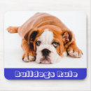 Zoek naar bulldog muismatten Hond