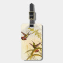 Recherche de colibri accessoires Peinture