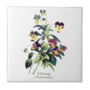 Zoek naar viool tegels Floreel