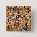 Recherche de de coquille badges Sable