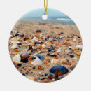 Recherche de coquillages ornements Coquilles de mer