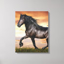 Zoek naar zwarte paarden kunst Wild paard