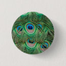 Zoek naar pauw veren buttons Vogels