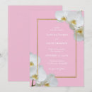 Recherche de orchidée blanche invitations Fleur