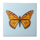 Recherche de papillon carreaux Orange