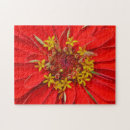 Zoek naar close up puzzels Natuur