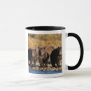 Recherche de omnivore tasses Faune