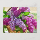 Recherche de buisson cartes postales Jardin