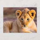 Recherche de yeux lion cartes invitations Nature